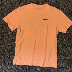 Men's Patagonia Responsibili-Tee (Medium, Peach)